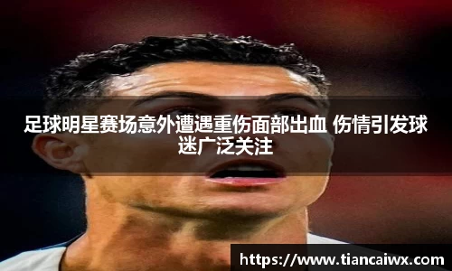 万博max官网