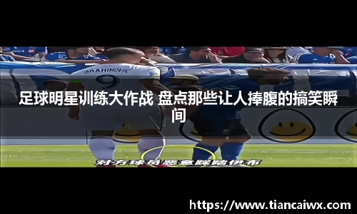 万博max体育官网入口