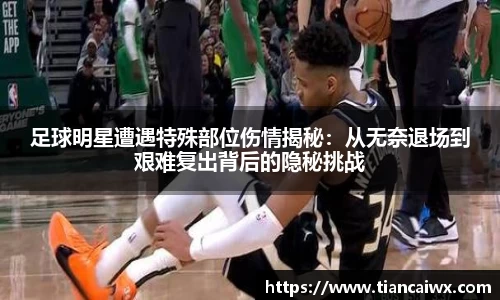 万博max体育官网入口