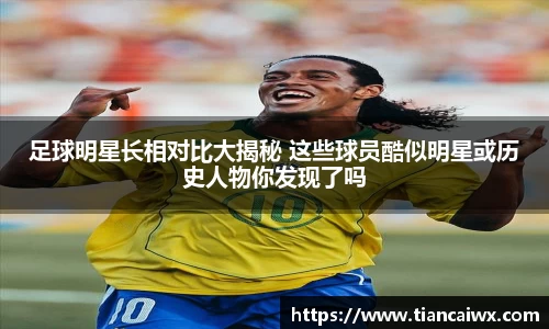 万博max官网