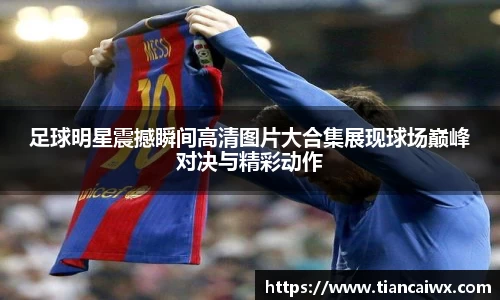 万博max体育官网入口