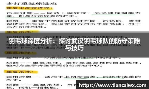万博max体育官网