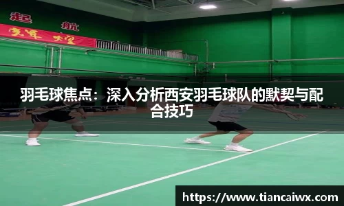 万博max体育官网入口