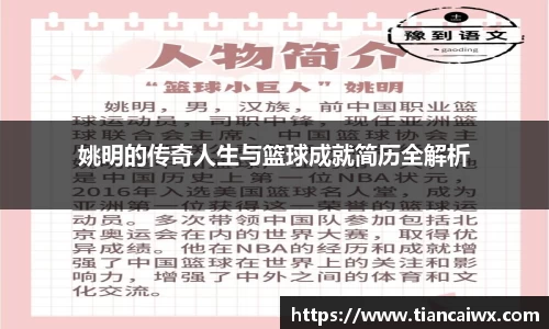 姚明的传奇人生与篮球成就简历全解析