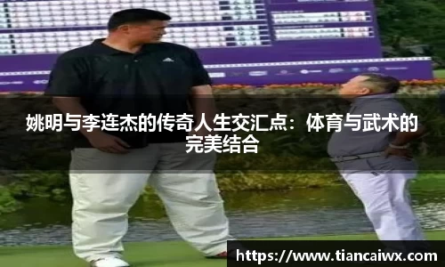 姚明与李连杰的传奇人生交汇点：体育与武术的完美结合