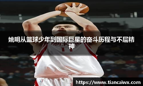 姚明从篮球少年到国际巨星的奋斗历程与不屈精神