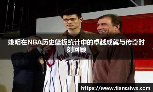 姚明在NBA历史篮板统计中的卓越成就与传奇时刻回顾
